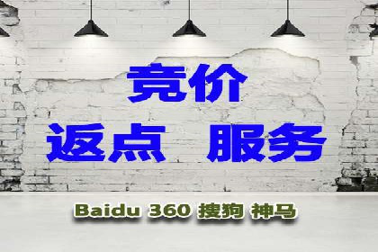 百度竞价推广案例：品牌崛起之路